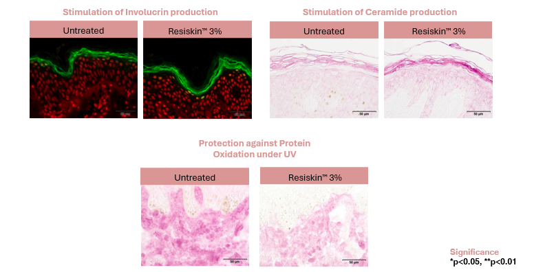Resiskin ex vivo results