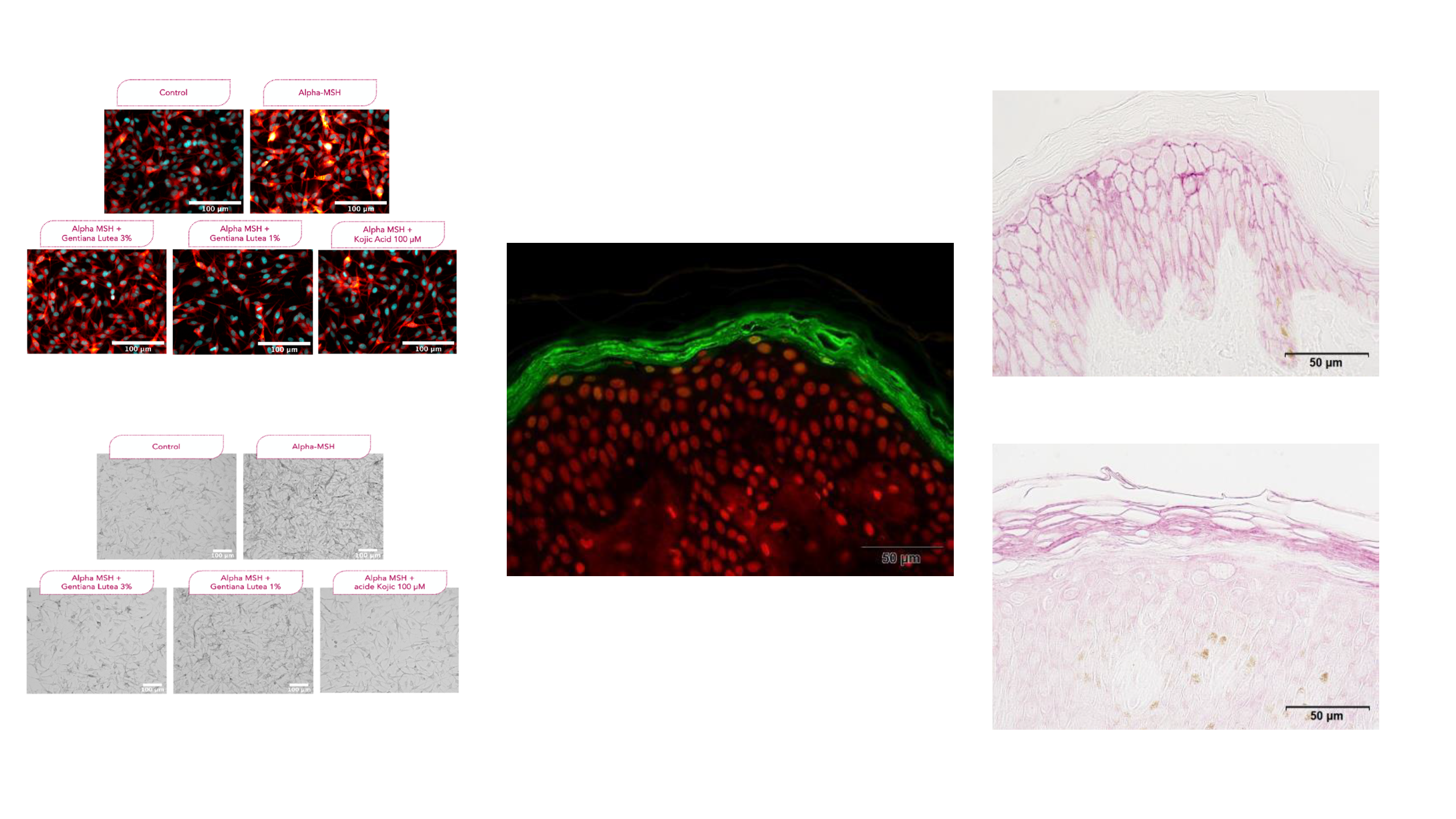 Lumidermine scientific results